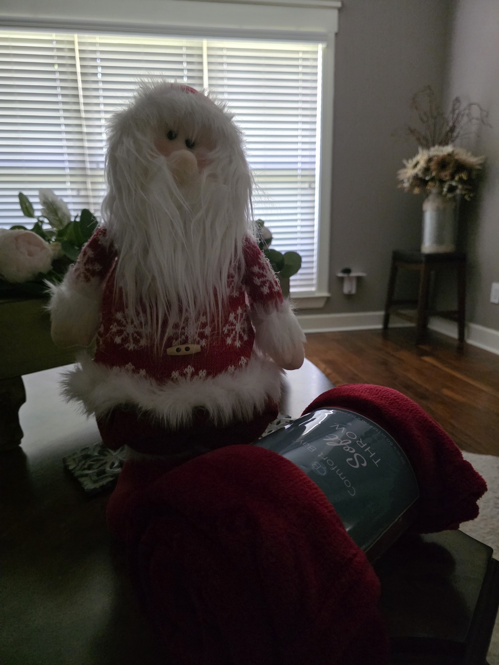 Holiday Santa Plush Décor in Red